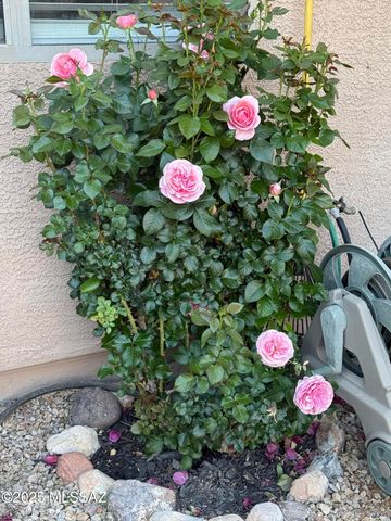 8449 S Gupta Drive, Tucson, AZ 85747