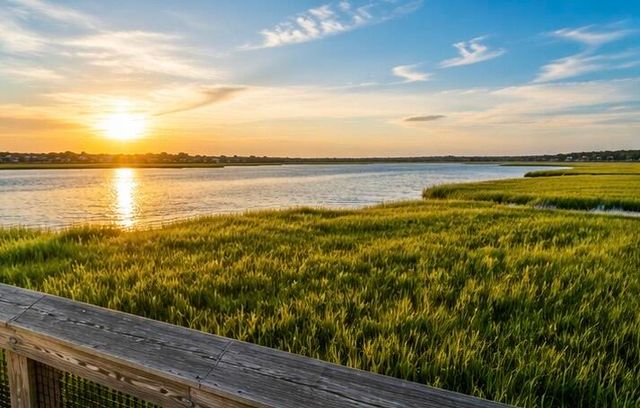 828 5th Avenue, Charleston, SC 29407