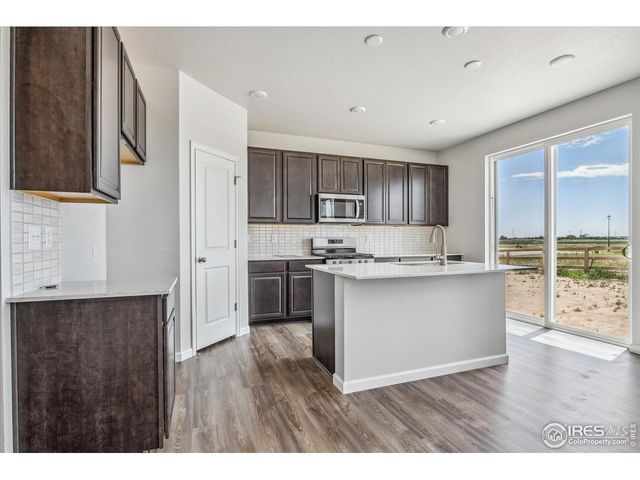 882 Mesic Ln, Windsor, CO 80550