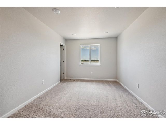 882 Mesic Ln, Windsor, CO 80550