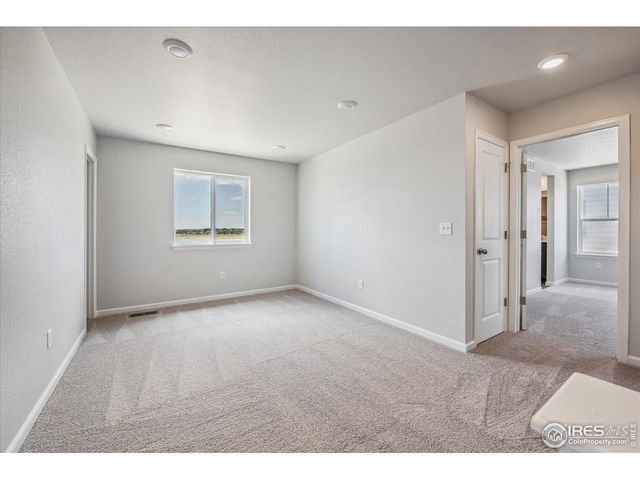 882 Mesic Ln, Windsor, CO 80550