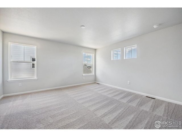 882 Mesic Ln, Windsor, CO 80550