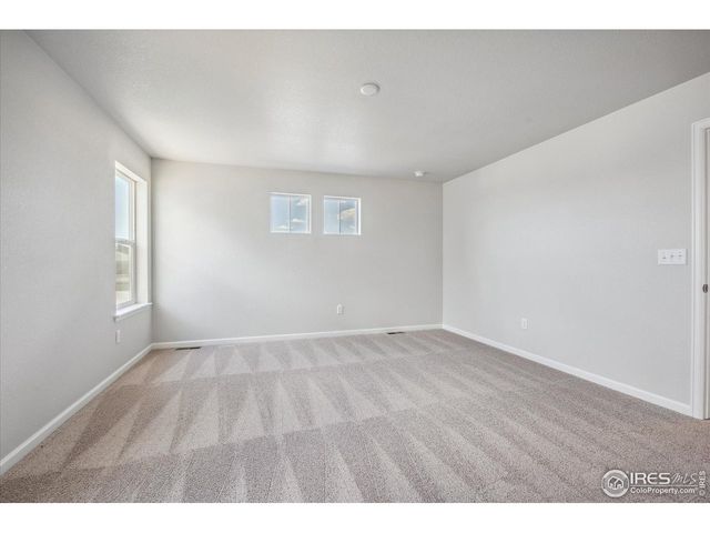 882 Mesic Ln, Windsor, CO 80550