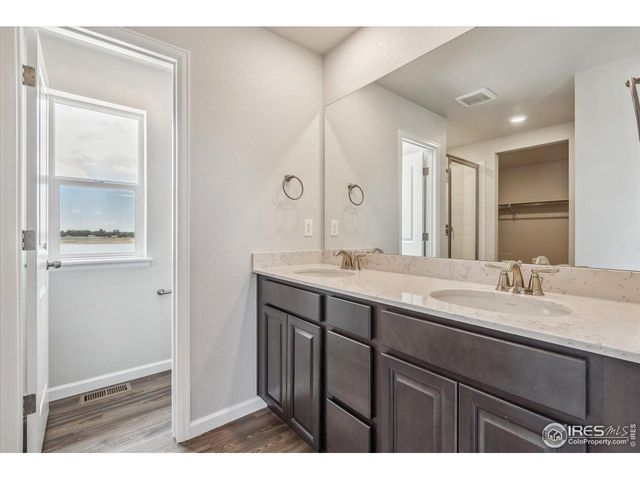 882 Mesic Ln, Windsor, CO 80550