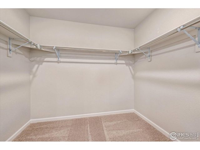 882 Mesic Ln, Windsor, CO 80550