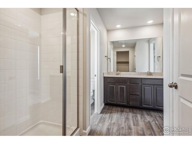 882 Mesic Ln, Windsor, CO 80550