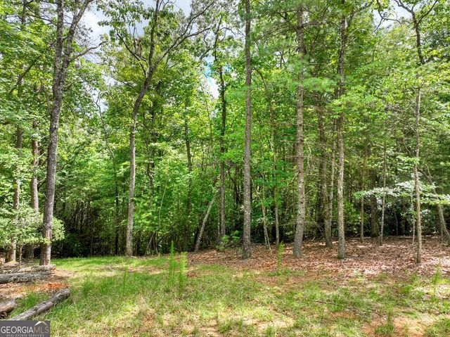 1696 Rocky Top Road, Blairsville, GA 30512