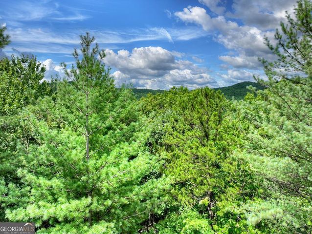 1696 Rocky Top Road, Blairsville, GA 30512
