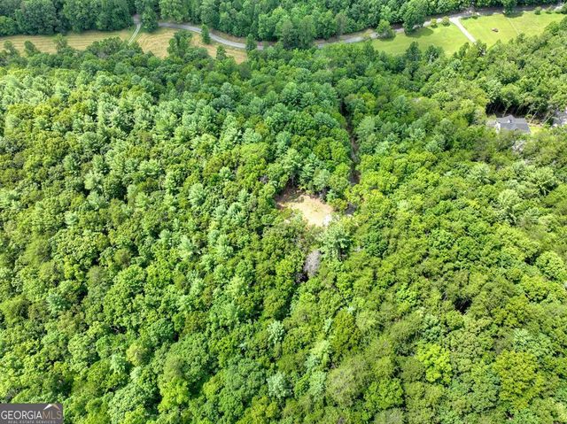 1696 Rocky Top Road, Blairsville, GA 30512
