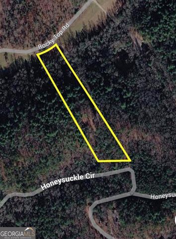 1696 Rocky Top Road, Blairsville, GA 30512