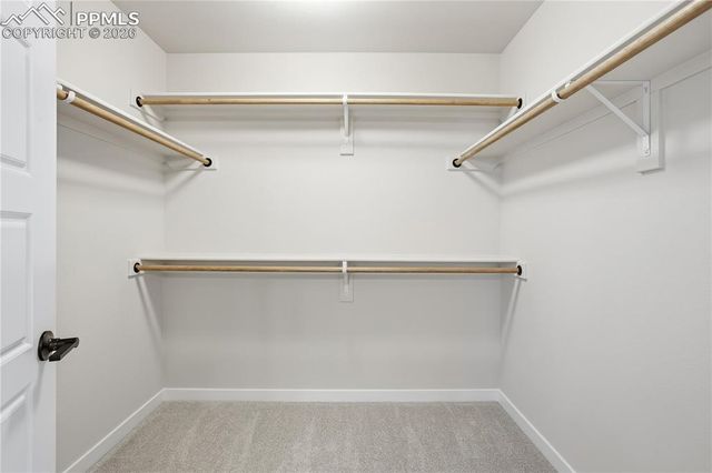 17737 Lemon Rye Loop, Monument, CO 80132