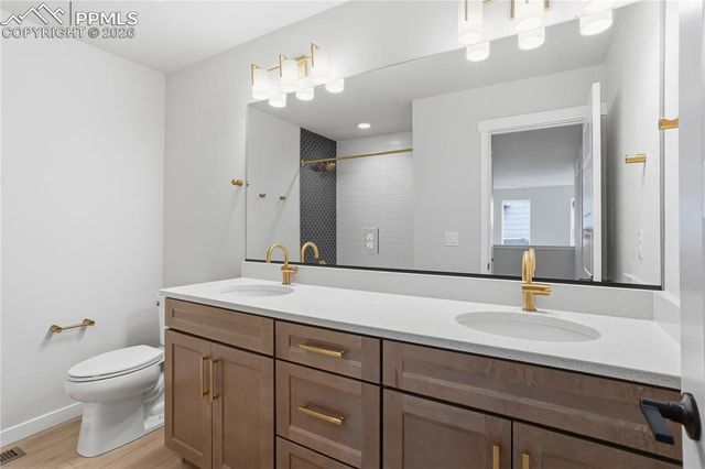 17737 Lemon Rye Loop, Monument, CO 80132