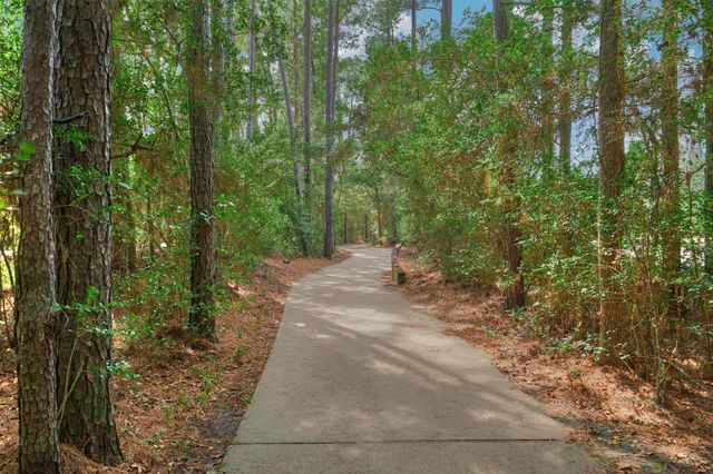 38 E Gaslight Place, The Woodlands, TX 77382