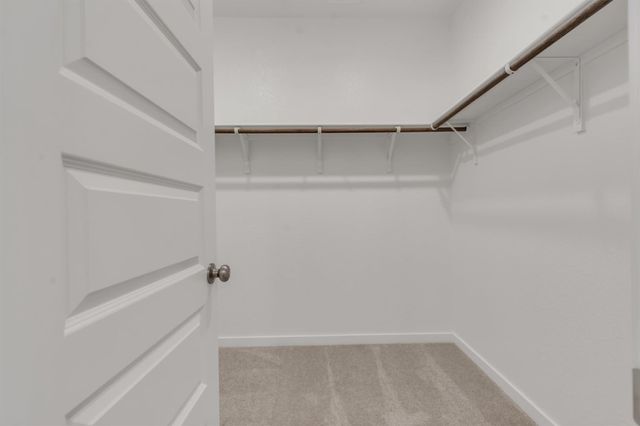 228 Bendecido LOOP, Elgin, TX 78621