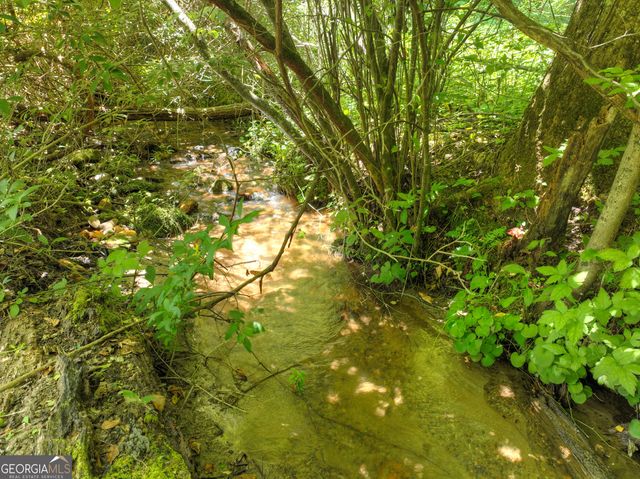 3760 Devils Den Road, Epworth, GA 30541