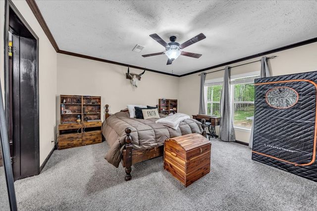 195 Roddy Springs Rd, Tracy City, TN 37387