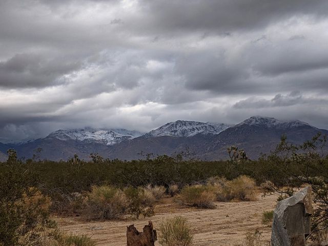 13505 S Alan Road, Yucca, AZ 86438