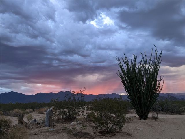 13505 S Alan Road, Yucca, AZ 86438