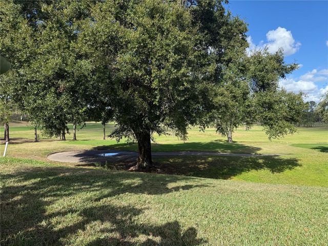 2066 DOBSON STREET, Clermont, FL 34711