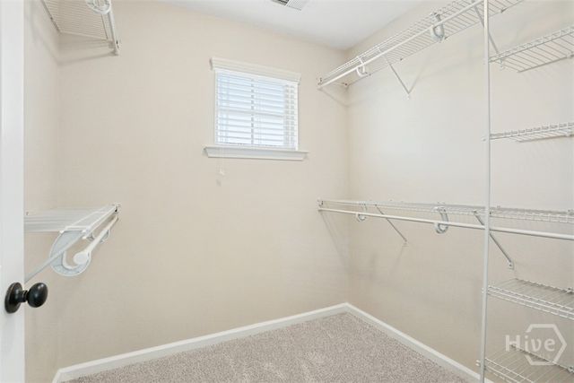 1518 Castleoak Drive, Richmond Hill, GA 31324