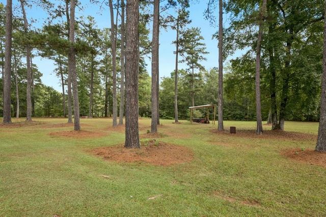 334 Luther Bailey, Senoia, GA 30276