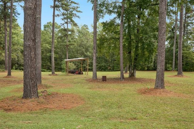 334 Luther Bailey, Senoia, GA 30276
