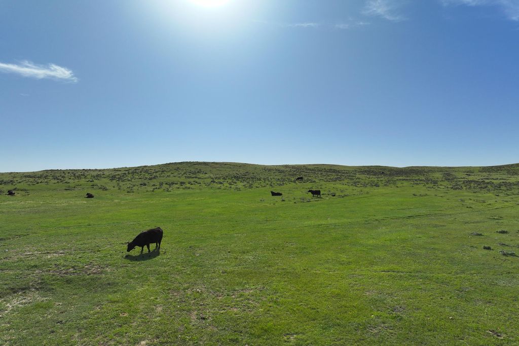 144 Oleo Acres Road, Moorcroft, WY 82721 photo 38