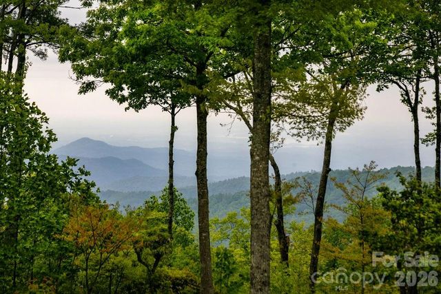 111 Wild Hog Creek Road, Rosman, NC 28772