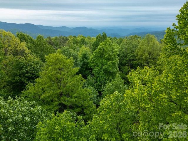 111 Wild Hog Creek Road, Rosman, NC 28772
