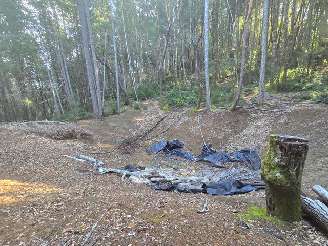 2126 China Creek Road, Redway, CA 95560