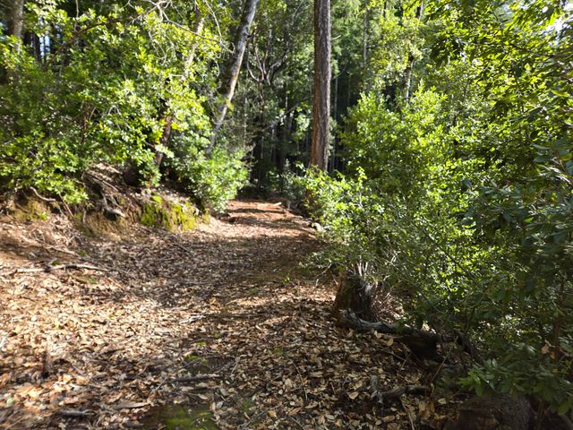 2126 China Creek Road, Redway, CA 95560