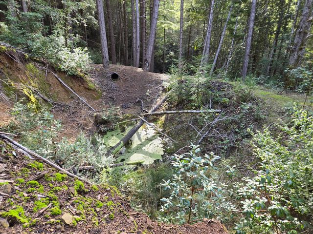 2126 China Creek Road, Redway, CA 95560