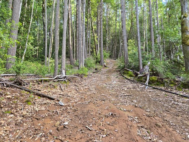 2126 China Creek Road, Redway, CA 95560