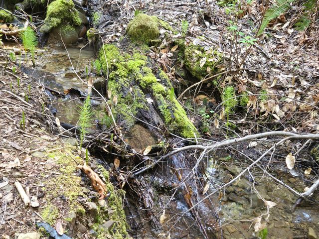 2126 China Creek Road, Redway, CA 95560