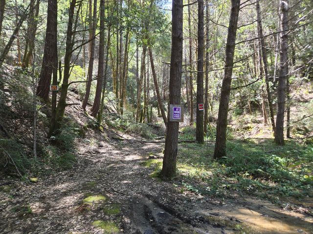 2126 China Creek Road, Redway, CA 95560