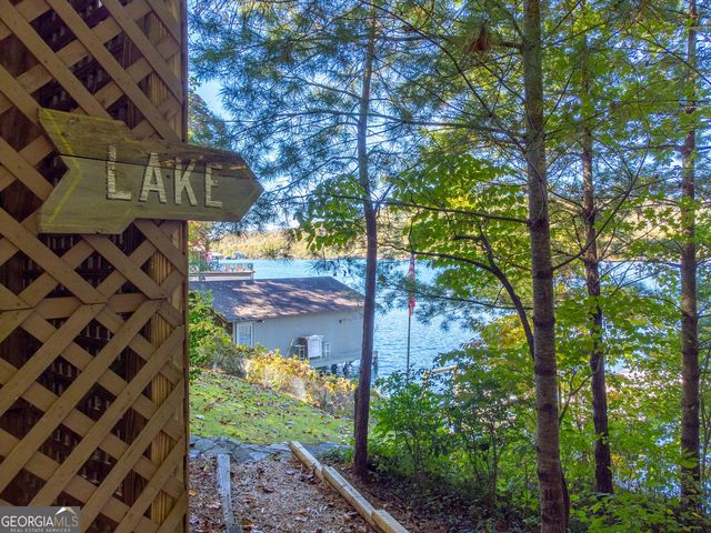 466 Murray Cove Road, Tiger, GA 30576