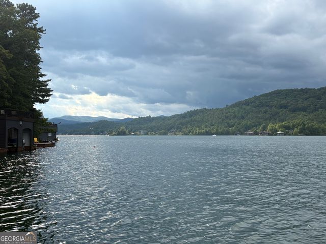 466 Murray Cove Road, Tiger, GA 30576