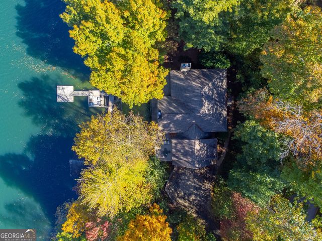 466 Murray Cove Road, Tiger, GA 30576