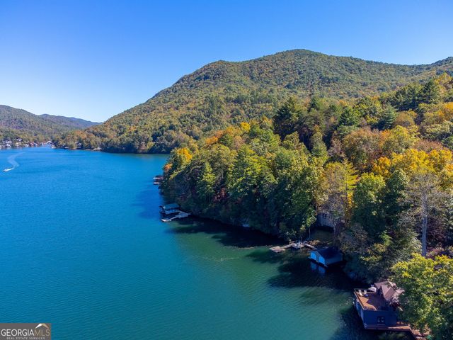 466 Murray Cove Road, Tiger, GA 30576