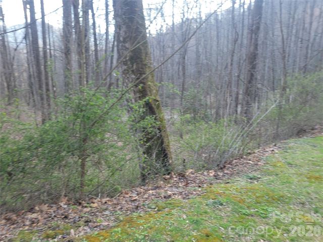 00 Rosewood Lane 12, Maggie Valley, NC 28751