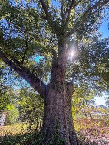 206 Park, Atlanta, TX 75551