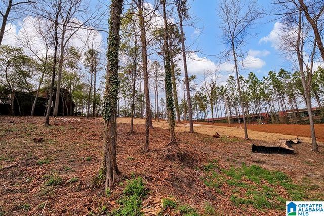 909 FRISCO STREET, Homewood, AL 35209