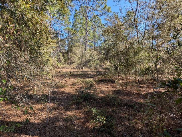 SW SOUNDVIEW DRIVE, Dunnellon, FL 34431