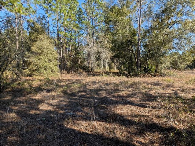 SW SOUNDVIEW DRIVE, Dunnellon, FL 34431