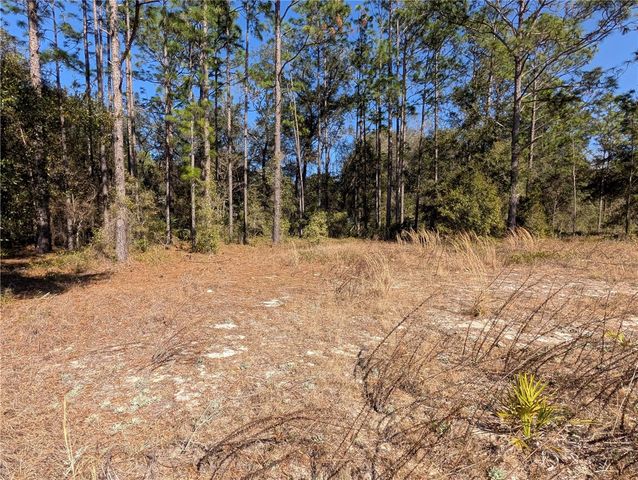 SW SOUNDVIEW DRIVE, Dunnellon, FL 34431