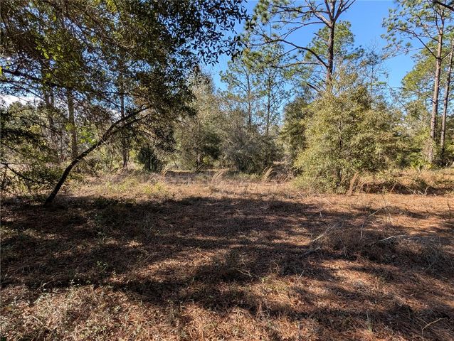 SW SOUNDVIEW DRIVE, Dunnellon, FL 34431