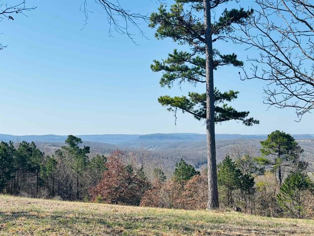 12897 14 W Highway, Mountain View, AR 72560