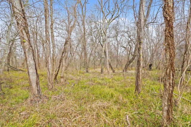 17502 Red Fork Drive, Rosharon, TX 77583