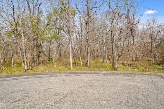 17502 Red Fork Drive, Rosharon, TX 77583