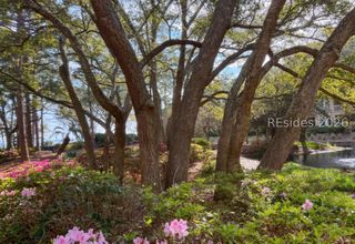 239 Beach City Rd Apt 1124, Hilton Head Island, SC 29926
